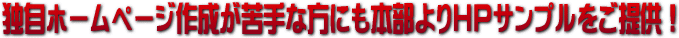�Ǝ��z�[���y�[�W�쐬�����ȕ��ɂ��{�����HP�T���v��������